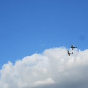 IMG_0783