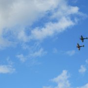 IMG_0784