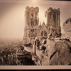 _P1010366
