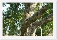 DSC00910 * 3872 x 2592 * (3.99MB)