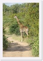 DSC00927 * 2592 x 3872 * (3.61MB)
